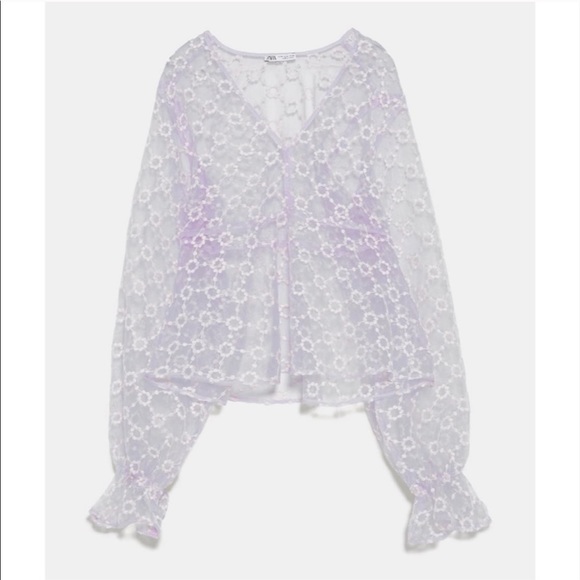 Zara Embroidered Sheer Blouse - Picture 3 of 4